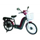 ZT-02 Electricial bike